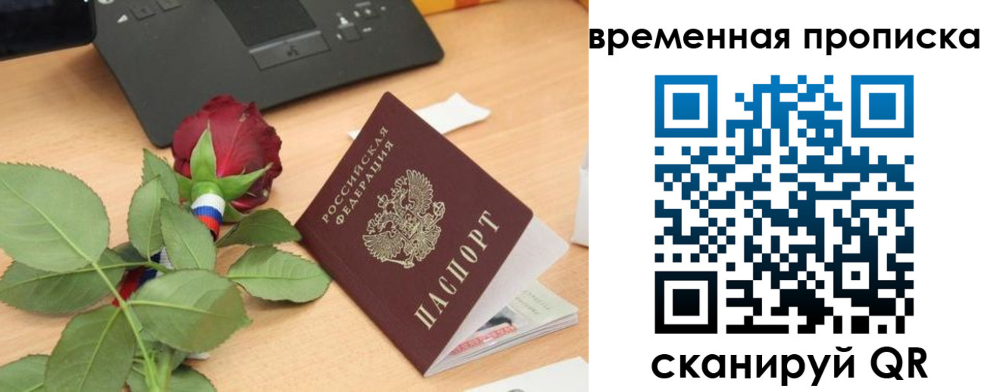 временная регистрация поиск в Егорьевске